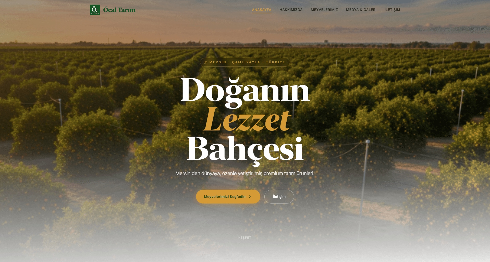 Stok takip panelinin ana ekranı: özet kartları ve grafik